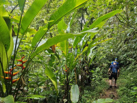 /album/fotogaleria-karibik-island-hopping-zajezd-vy-a-my/island-hopping-zajazd-00-76-jpg1/